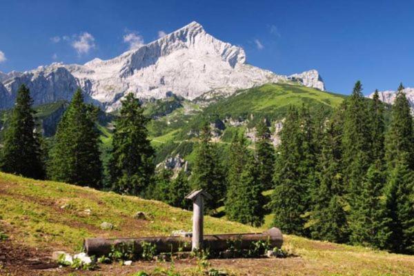 Alpenhof Grainau Otel Dış mekan fotoğraf